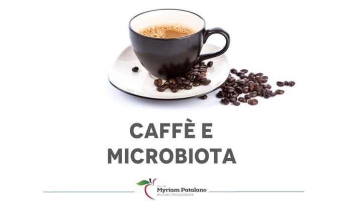 caffe microbiota intestino