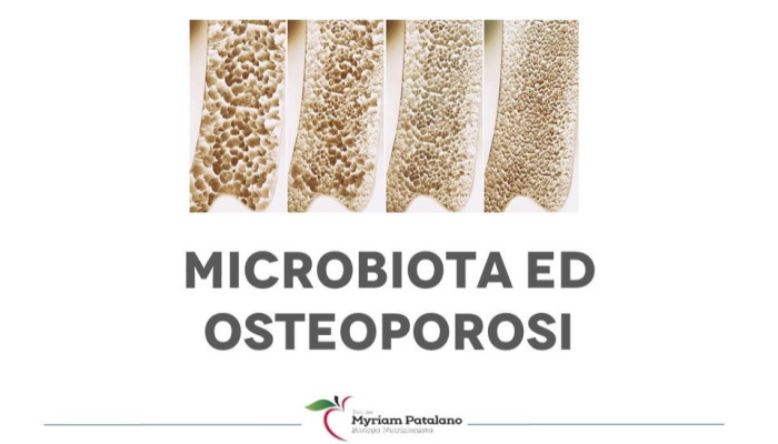 microbiota osteoporosi